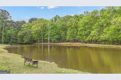 404 Tranquil Cemetary Road, Senoia, GA 30276 - Photo 5