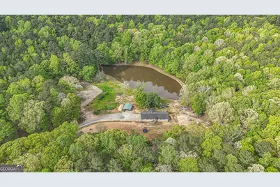 404 Tranquil Cemetary Road, Senoia, GA 30276 - Photo 7