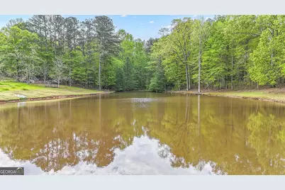 404 Tranquil Cemetary Road, Senoia, GA 30276 - Photo 51