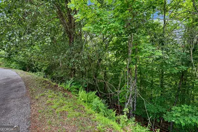 56 Walker Ridge Way, Mineral Bluff, GA 30559 - Photo 21