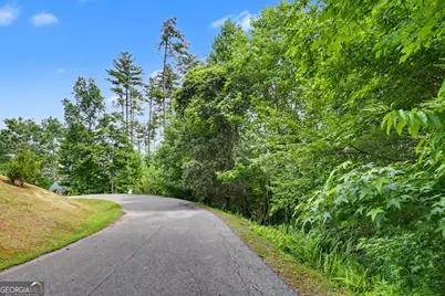 56 Walker Ridge Way, Mineral Bluff, GA 30559 - Photo 1