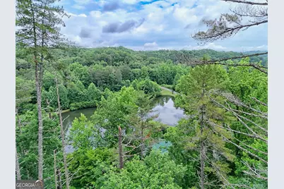 56 Walker Ridge Way, Mineral Bluff, GA 30559 - Photo 19