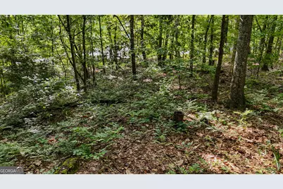 110 Handy Road, Newnan, GA 30263 - Photo 81