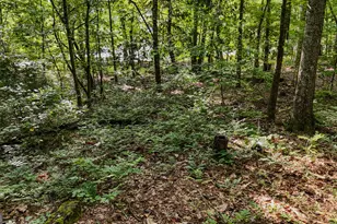 110 Handy Rd, Newnan, GA 30263 - Photo 81