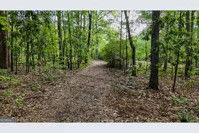 110 Handy Road, Newnan, GA 30263 - Photo 61