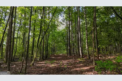 110 Handy Road, Newnan, GA 30263 - Photo 85
