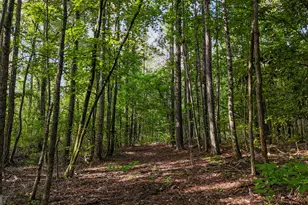 110 Handy Rd, Newnan, GA 30263 - Photo 85