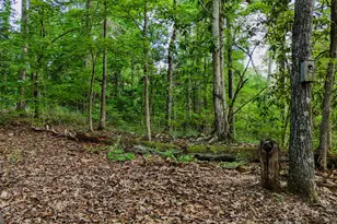 110 Handy Rd, Newnan, GA 30263 - Photo 75