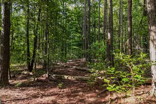 110 Handy Rd, Newnan, GA 30263 - Photo 87