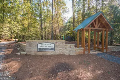185 Treeside Terrace, Fayetteville, GA 30214 - Photo 71