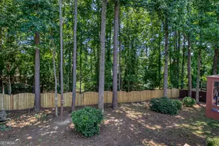 365 Aster Ridge Trail, Peachtree City, GA 30269 - Photo 55