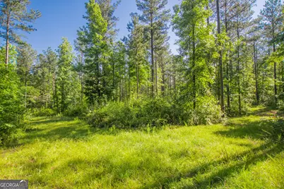 0 Weaver Jones Road, Rutledge, GA 30663 - Photo 5