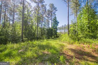 0 Weaver Jones Road, Rutledge, GA 30663 - Photo 15