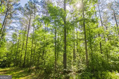 0 Weaver Jones Road, Rutledge, GA 30663 - Photo 13