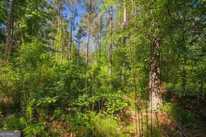0 Weaver Jones Road, Rutledge, GA 30663 - Photo 11