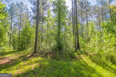 0 Weaver Jones Road, Rutledge, GA 30663 - Photo 25