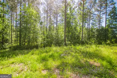 0 Weaver Jones Road, Rutledge, GA 30663 - Photo 21