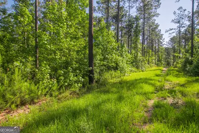 0 Weaver Jones Road, Rutledge, GA 30663 - Photo 9