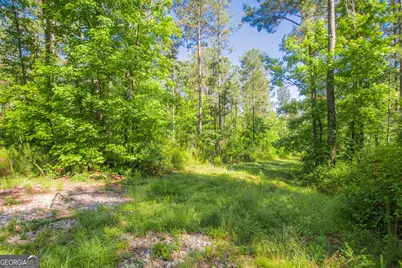0 Weaver Jones Road, Rutledge, GA 30663 - Photo 17