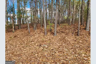 91 Cannon Ridge View, Dallas, GA 30132 - Photo 1