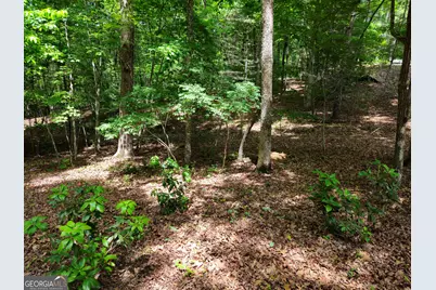 211 Winding Brook Trail, Morganton, GA 30560 - Photo 111