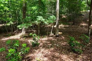 211 Winding Brk Trl, Morganton, GA 30560 - Photo 111