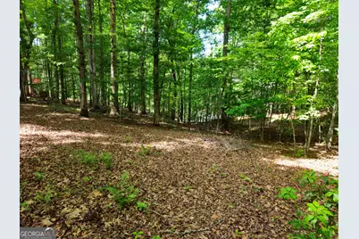 211 Winding Brook Trail, Morganton, GA 30560 - Photo 109