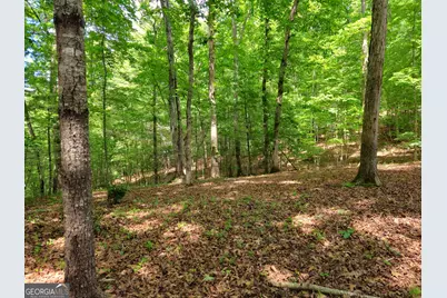 211 Winding Brook Trail, Morganton, GA 30560 - Photo 101