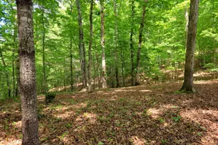 211 Winding Brk Trl, Morganton, GA 30560 - Photo 101