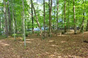 211 Winding Brk Trl, Morganton, GA 30560 - Photo 89