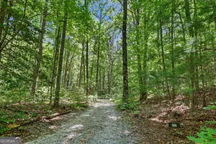 252 Navigator Ln, Tiger, GA 30576 - Photo 49