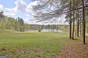 807 Teal Vista, Peachtree City, GA 30269 - Photo 109