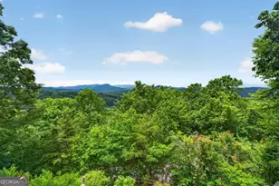 40 Foxfire Ln, Blue Ridge, GA 30513 - Photo 47