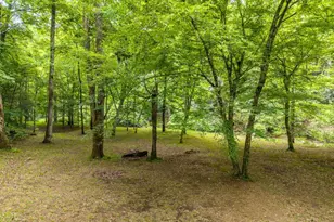 1774 Hicks Ford Rd, Ellijay, GA 30540 - Photo 9