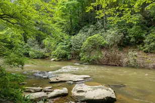 1774 Hicks Ford Rd, Ellijay, GA 30540 - Photo 11