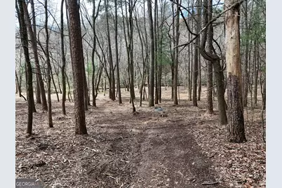 Lt 45A Synacia Drive, Mineral Bluff, GA 30559 - Photo 3