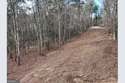 Lt 45A Synacia Drive, Mineral Bluff, GA 30559 - Photo 19
