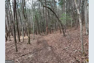 Lt 45A Synacia Drive, Mineral Bluff, GA 30559 - Photo 23