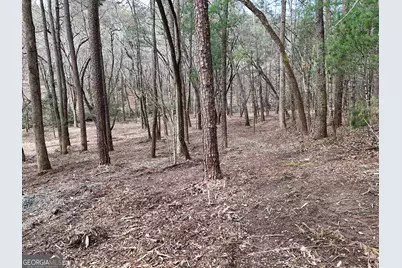 Lt 45A Synacia Drive, Mineral Bluff, GA 30559 - Photo 25