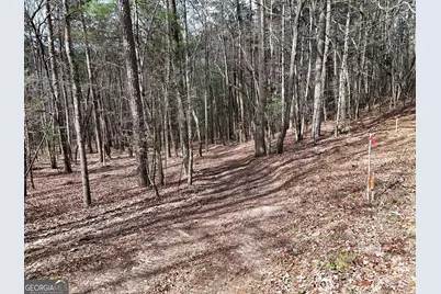 Lt 45A Synacia Drive, Mineral Bluff, GA 30559 - Photo 21