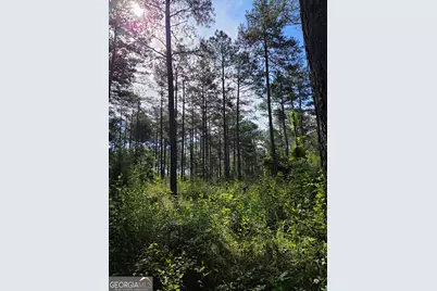 0 Perkins Road Perkins Road, Barnesville, GA 30204 - Photo 3