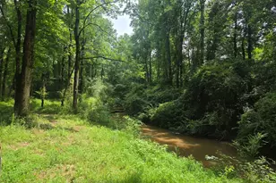 408 Bowen Rd, Milner, GA 30257 - Photo 33