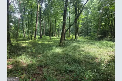 408 Bowen Road, Milner, GA 30257 - Photo 31