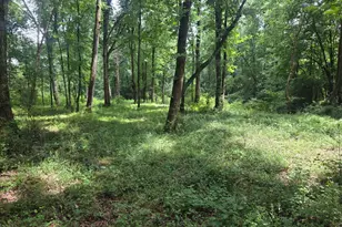 408 Bowen Rd, Milner, GA 30257 - Photo 31