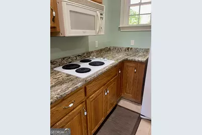 1545 Sam Bell Road, Clarkesville, GA 30523 - Photo 11
