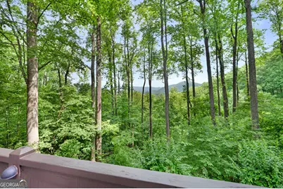 1189 Walnut Ridge, Ellijay, GA 30536 - Photo 51