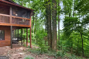 1189 Walnut Ridge, Ellijay, GA 30536 - Photo 71