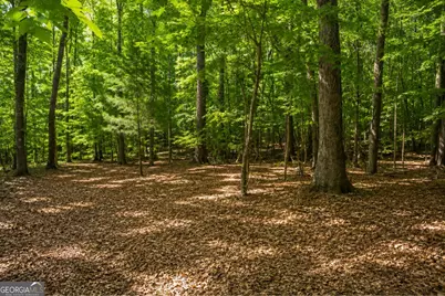 365 Riverridge Trail, Oxford, GA 30054 - Photo 33