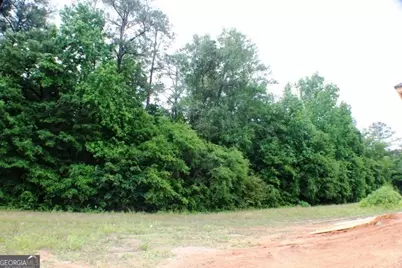 1224 Snow Hill Road, Cadwell, GA 31009 - Photo 5