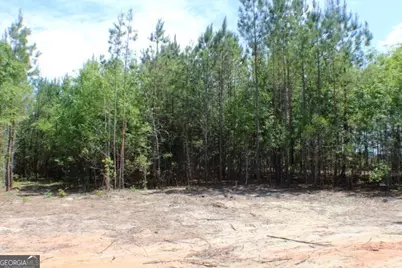1224 Snow Hill Road, Cadwell, GA 31009 - Photo 9